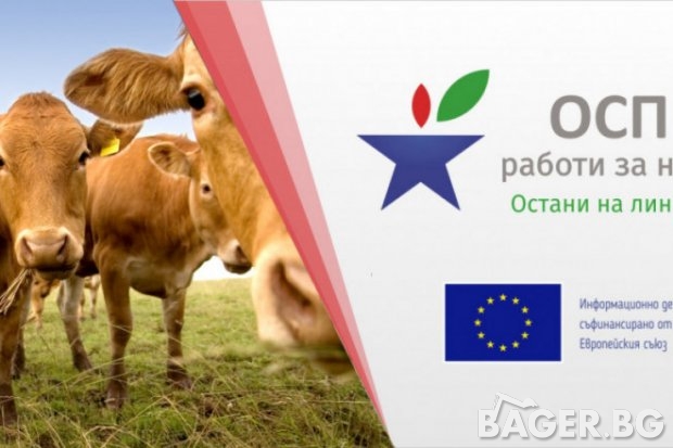 Онлайн семинар: Месодайното говедовъдство в преходния период на ОСП