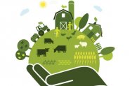 Как да печелят фермерите от въглеродните пазари?