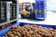 Защо групите производители в „Плодове и зеленчуци” са изключени от секторните интервенции?