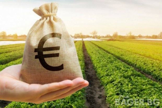 Искат повече пари за фермерите в Европа
