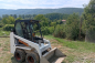 Bobcat